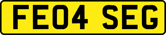 FE04SEG