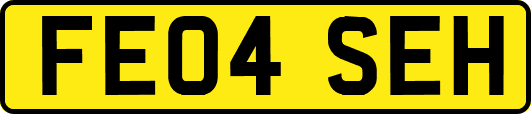 FE04SEH
