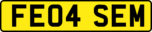 FE04SEM
