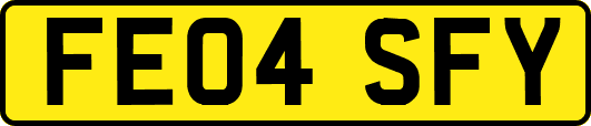 FE04SFY
