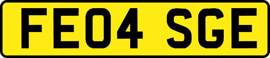 FE04SGE