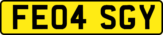 FE04SGY