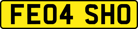 FE04SHO