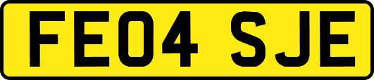 FE04SJE