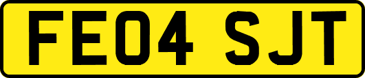 FE04SJT