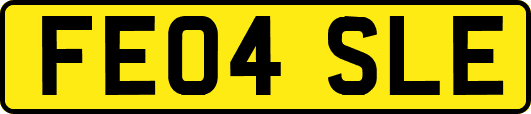 FE04SLE