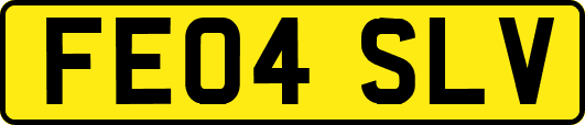 FE04SLV