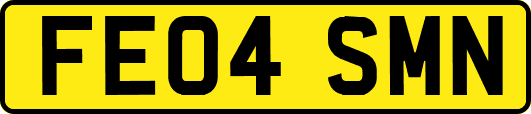 FE04SMN