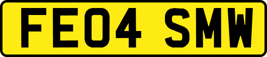 FE04SMW
