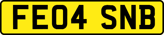 FE04SNB