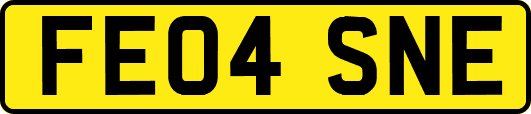 FE04SNE