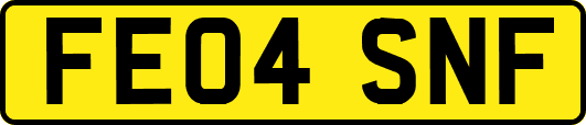 FE04SNF