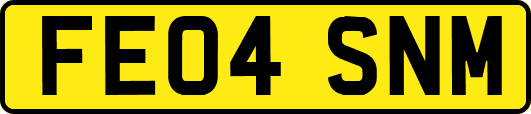 FE04SNM