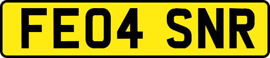 FE04SNR