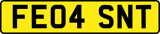 FE04SNT