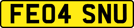 FE04SNU