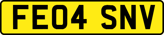 FE04SNV