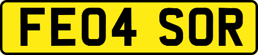 FE04SOR
