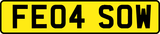 FE04SOW