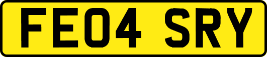 FE04SRY