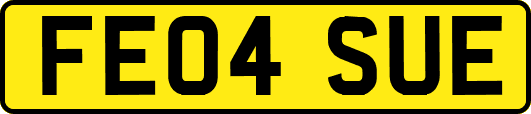 FE04SUE