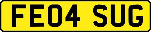 FE04SUG