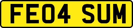 FE04SUM