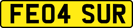FE04SUR