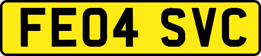 FE04SVC