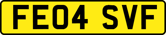 FE04SVF
