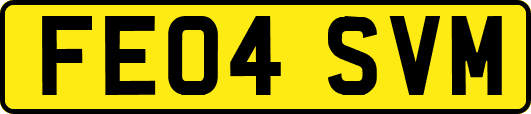FE04SVM