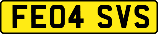 FE04SVS