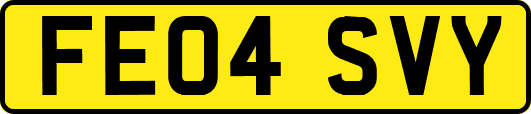 FE04SVY