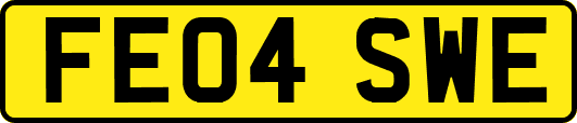 FE04SWE