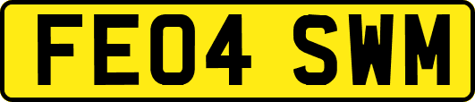 FE04SWM