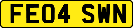 FE04SWN