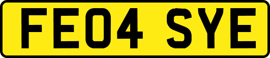 FE04SYE