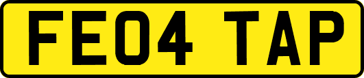 FE04TAP