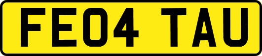 FE04TAU