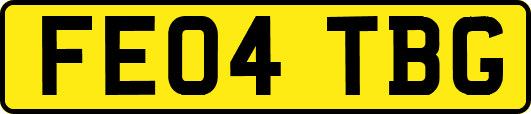 FE04TBG