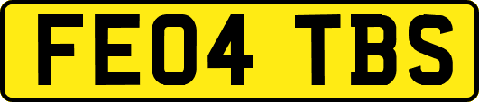 FE04TBS