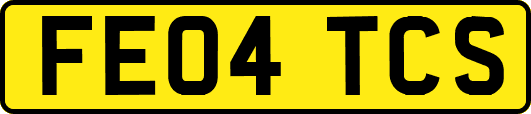 FE04TCS