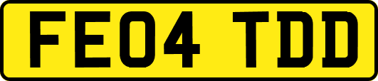 FE04TDD