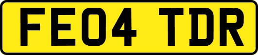 FE04TDR