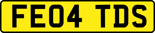 FE04TDS
