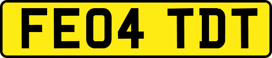 FE04TDT