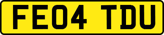 FE04TDU