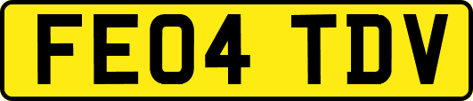 FE04TDV
