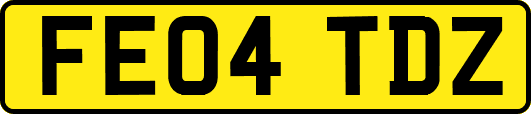 FE04TDZ