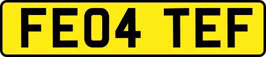 FE04TEF